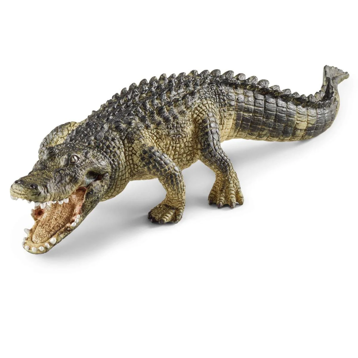 Miniature 1